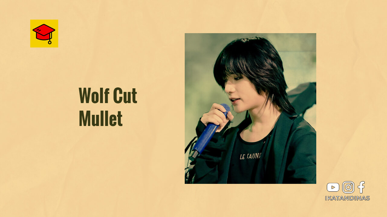 Wolf Cut Mullet