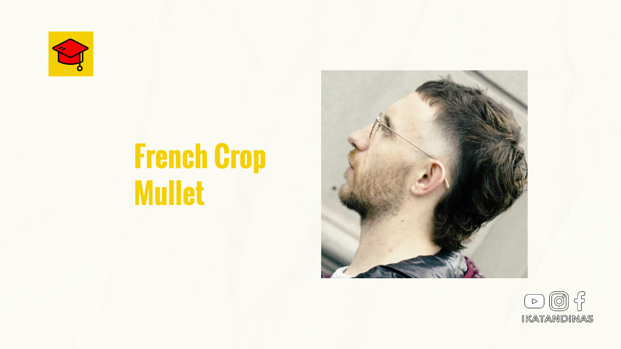 French Crop Mullet