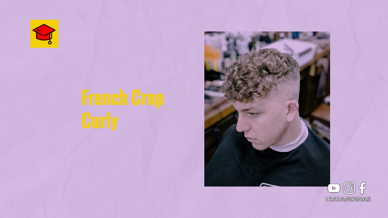 French Crop Curly