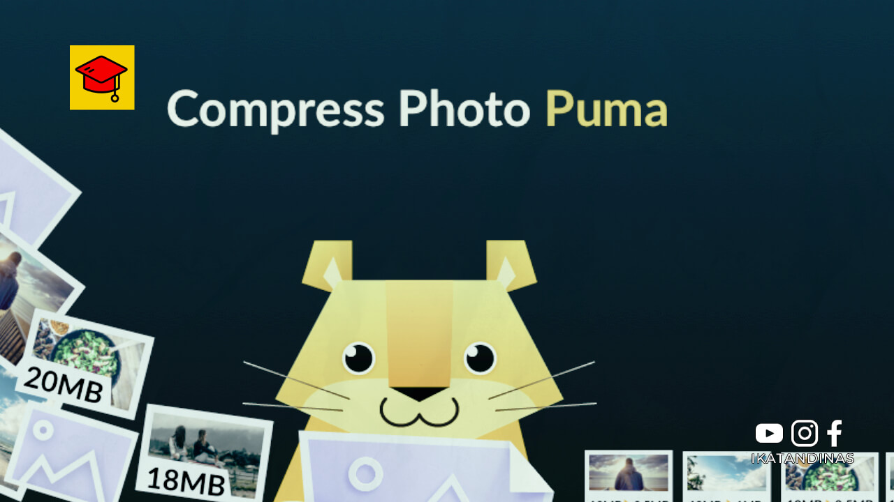 Download Compress Photo Puma