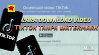 Download Video Tiktok No Watermark